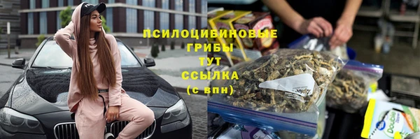 apvp Армянск